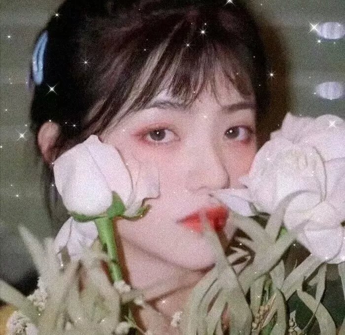 灰姑娘外传